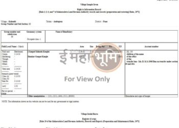 जिल्ह्यात एकाच दिवशी 1 लाख मोफत सातबारा वाटप होणार