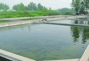 अशी करा शेततळ्यामध्ये “मत्स्य शेती” व अशी घ्या “मत्स्यशेती” ची काळजी…