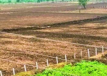 जमिनीच्या खरेदीसाठी १०० टक्के अनुदान… अर्ज मागवणे सुरु… योजनेचा पात्र लाभार्थ्यांना लाभ घेण्याचे आवाहन