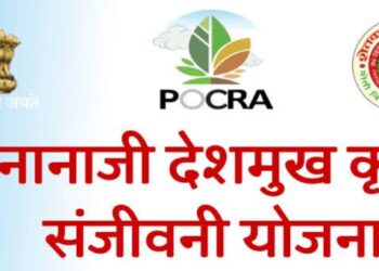 नानाजी देशमुख कृषी संजीवनी प्रकल्पांतर्गत पोखरा योजनेसाठी 600 कोटीचे अनुदान उपलब्ध, राज्यातील तब्बल 5 हजार 142 गावांना लाभ