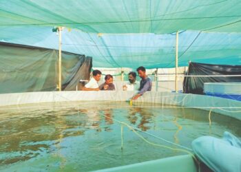 मत्स्यशेतीतून वर्षात अडीच लाखांचे उत्पन्न… देवजीपाडा येथील 26 वर्षीय तरुणाने साधली शेतीतून प्रगती !