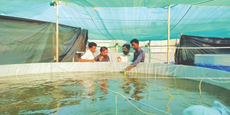 मत्स्यशेतीतून वर्षात अडीच लाखांचे उत्पन्न… देवजीपाडा येथील 26 वर्षीय तरुणाने साधली शेतीतून प्रगती !