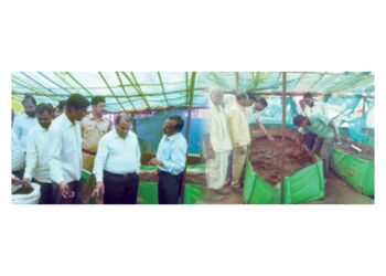 सेंद्रियच्या बळकटीकरणाचा ध्यास… शेतकर्‍यांना दोन किलो गांडूळबीजचे मोफत वाटप…