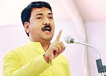 बांबूची जिल्ह्यात दहा हजार एकरावर लागवड झाल्यानंतर पहिली बांबू रिफायनरी जळगावात सुरु करणार.. कार्बन क्रेडिट म्हणूनही मिळणार हेक्टरी 5 हजार रुपये – खासदार उन्मेष पाटील… ॲग्रोवर्ल्डतर्फे जळगावला 23 जानेवारी (रविवारी) बांबू शेती कार्यशाळेचे आयोजन 🎋