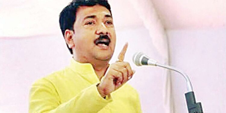 बांबूची जिल्ह्यात दहा हजार एकरावर लागवड झाल्यानंतर पहिली बांबू रिफायनरी जळगावात सुरु करणार.. कार्बन क्रेडिट म्हणूनही मिळणार हेक्टरी 5 हजार रुपये – खासदार उन्मेष पाटील… ॲग्रोवर्ल्डतर्फे जळगावला 23 जानेवारी (रविवारी) बांबू शेती कार्यशाळेचे आयोजन 🎋