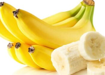 असे करा केळी बागेचे व्यवस्थापन.. विशेषतः थंडीत काय काळजी घ्याल..