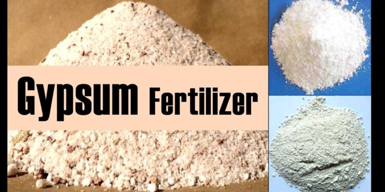 कशामुळे वाढते जमिनीची सुपिकता… जाणून घ्या अशा खताबद्दल माहिती