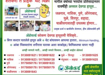 हापूसच्या नावाने विक्रेते करताहेत ग्राहकांची फसवणूक..