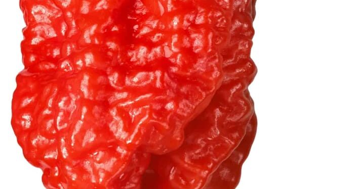 या आहेत जगातील सर्वांत तिखट मिरच्या…! दोन फूट लांबूनही डोळ्यात होते जळजळ..!