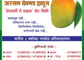 अक्षयतृतीया… अ‍ॅग्रोवर्ल्ड व देवगड हापूस.. विश्वास आमचा.. चव तुमची.. आरोग्याशी खेळ नाही..🌱