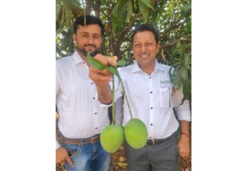 होय… अ‍ॅग्रोवर्ल्डची टीम आपल्यासाठी थेट कोकणातील हापूस बागेत… 🥭 