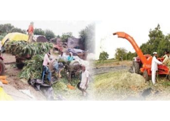 चारा टंचाईवर कमी खर्चाचे निर्मिती तंत्र – मुरघास