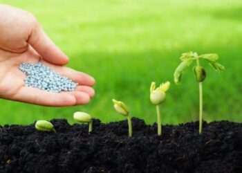 शेतकऱ्यांना मिळणार खतांसाठी थेट 100 % अनुदान..