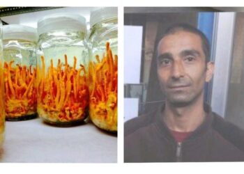 घरातल्या घरात लॅब उभारून पाच लाख रुपये किलोने विकल्या जाणाऱ्या “कॉर्डीसेप्स मशरूम”चे उत्पादन