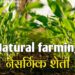 भारतात वाढतेय नैसर्गिक शेती; अन्न सुरक्षेला बाधा न आणता 2030 पर्यंत 30% कृषिक्षेत्रात “नॅचरल फार्मिंग”चा अंदाज