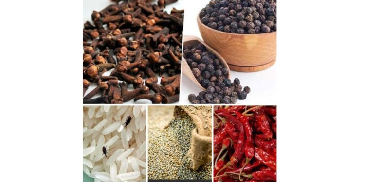 घरातील धान्याला लागणाऱ्या किडींपासून मुक्तता हवी आहे…?? काळजी करू नका.. हा घरघुती उपाय करा व धान्य सुरक्षित ठेवा..