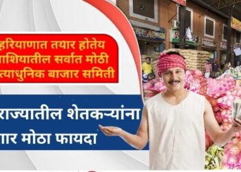 हरियाणामध्ये साकारली जातेय आशियातील सर्वात मोठी बागायती फळभाज्या दूध, पोल्ट्री बाजार समिती; 14 राज्यातील शेतकऱ्यांना होणार फायदा