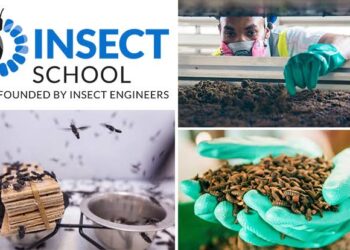 नेदरलँड्समध्ये सुरू होतेय जगातील पहिले इन्सेक्ट स्कूल