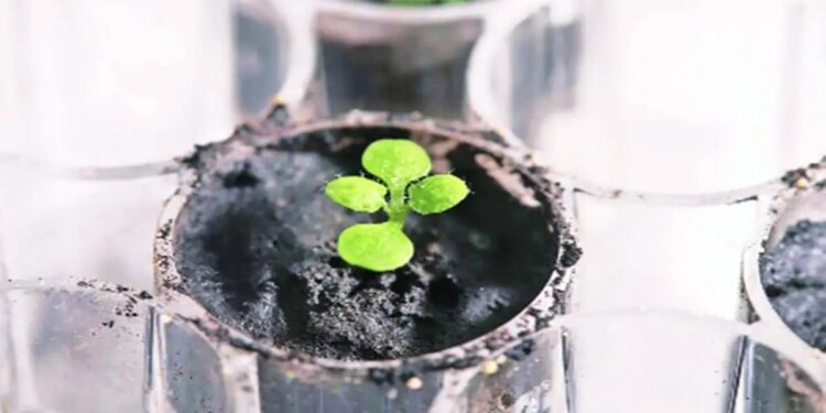 काय सांगता काय, आता चंद्रावरही करता येणार शेती..!