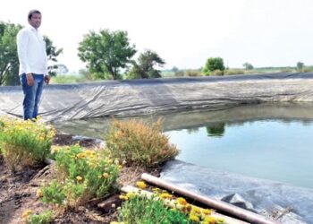 शेतीत रासानिक, सेंद्रियचा समन्वय… प्रयोगशील शेतकरी उमेश बंग यांचा शेतीचा यशस्वी मंत्र