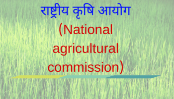 पिकपेऱ्यात विविधता आणण्याचा कृषी मूल्य आयोगाचा शेतकऱ्यांना सल्ला; अधिक उत्पन्नासाठी परिस्थितीनुसार कोणती पिके घेण्याची आयोगाने केलीय शिफारस ते जाणून घ्या… 🌱