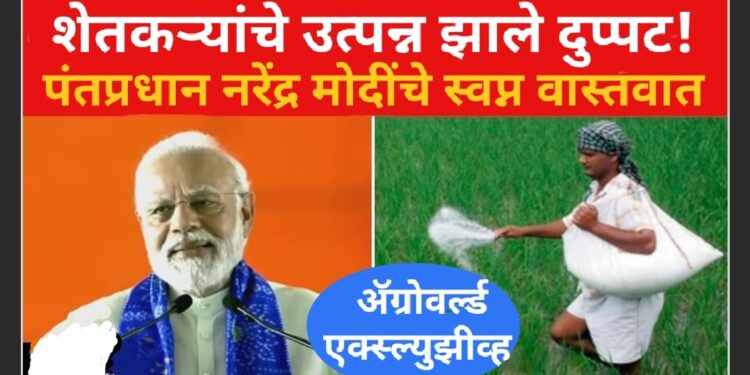 महाराष्ट्रातील शेतकऱ्यांचे उत्पन्न काही पिकांनी खरोखरच केले दुप्पट!