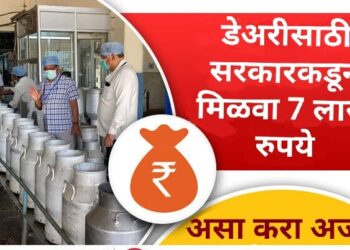 दूध डेअरीसाठी केंद्र सरकारकडून मिळवा 7 लाख रुपयांचे अनुदान, असा करा अर्ज…