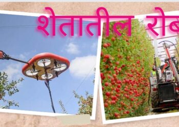 इस्राईलमध्ये तयार होतोय नेक्स्ट जनरेशन रोबोटिक मजूर; फळबागांमध्ये करणार फळतोडणी