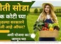 वयोवृद्ध शेतकऱ्यांसाठी ऑफर! शेती सोडा त्यासाठी सरकार देतेय एक कोटी रुपये! का, कुठे दिली जातेय ही £100,000 Best ऑफर ते जाणून घ्या..