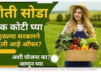 वयोवृद्ध शेतकऱ्यांसाठी ऑफर! शेती सोडा त्यासाठी सरकार देतेय एक कोटी रुपये! का, कुठे दिली जातेय ही £100,000 Best ऑफर ते जाणून घ्या..