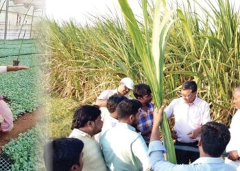 आधुनिक शेती जाधव कुटुंब इगतपुरी नाशिक