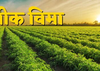 खरीप हंगामाकरीता प्रधानमंत्री पीक विमा योजनेत शेतकऱ्यांना ३१ जुलै पर्यंत सहभागी होण्याचे आवाहन