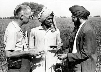 अमेरिकेत नव्या पिढीसाठी नव्याने लिहिली गेलीय डॉ. नॉर्मन बोरलॉग यांची जीवनगाथा; सुप्रसिद्ध बालसाहित्यिका पेगी थॉमस यांनी रंगविलाय खाकी कपड्यातील ‘सुपरहीरो’