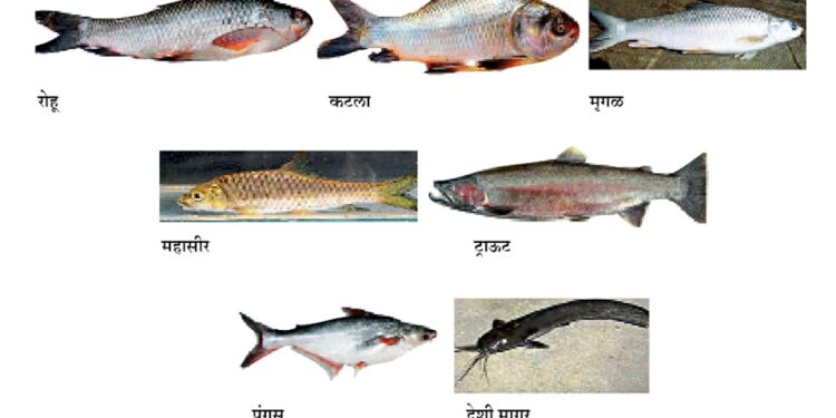 मत्स्य संपदा योजना