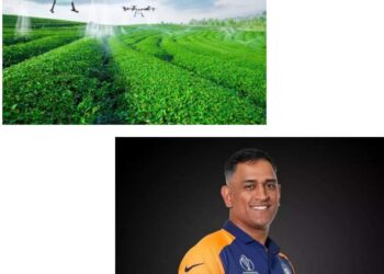 शेती ड्रोन : ॲग्री इन्फ्रा फंडने धोनीची गुंतवणूक असलेली कंपनी गरूड ड्रोनसाठी मंजूर केले पहिले किसान ड्रोन कर्ज