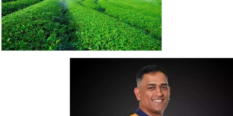 शेती ड्रोन : ॲग्री इन्फ्रा फंडने धोनीची गुंतवणूक असलेली कंपनी गरूड ड्रोनसाठी मंजूर केले पहिले किसान ड्रोन कर्ज