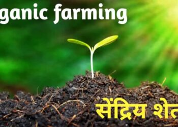 ग्राहक व शेतकऱ्यांचे हित