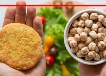 व्हेगन मीट,