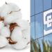 Cotton Rate 2022 – शेतकऱ्याला 10 हजारांच्या वर भाव मिळू लागताच ‘सेबी’कडून कमोडिटी बाजारात कापूस व्यवहारांना महिनाभराची स्थगिती ; कापूस विक्रीची घाई करू नका
