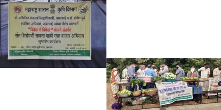 विकेल ते पिकेल