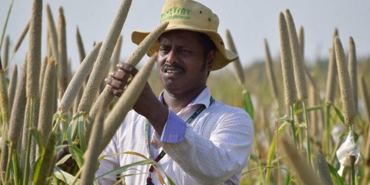BioFortified Millet