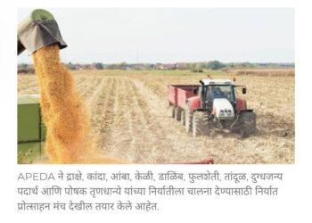 प्रोसेस्ड फूड निर्यात