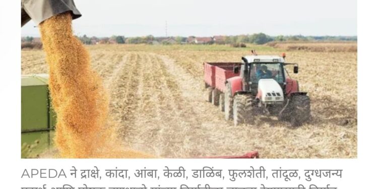 प्रोसेस्ड फूड निर्यात