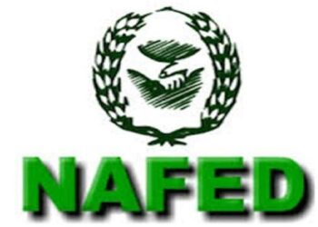 कांदा खरेदी