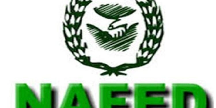 कांदा खरेदी