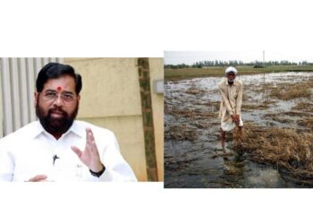 अतिवृष्टीग्रस्त भागातील पंचनामे