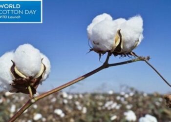 World Cotton Day