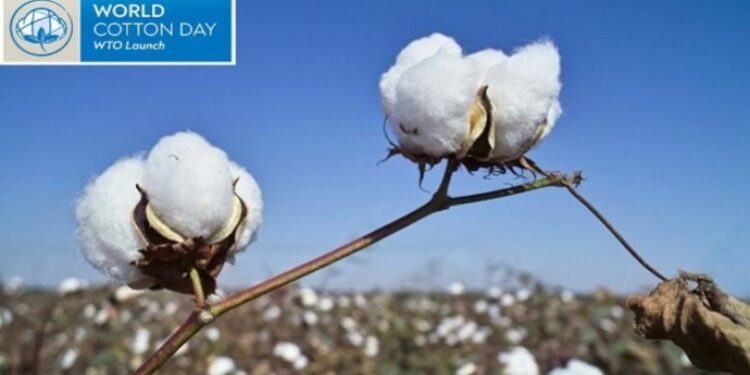 World Cotton Day