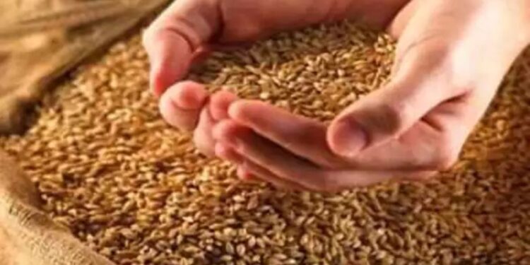 भरडधान्य खरेदी