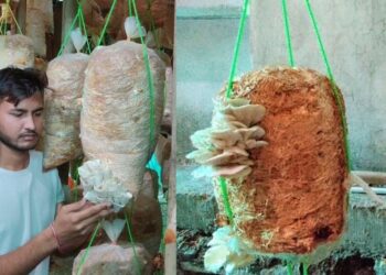 Yashogatha (Success Story)